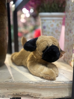 Pug Teddy